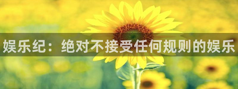 东莞市汇富娱乐电子科技有限公司：娱乐纪：绝对不接受任何规则的娱乐