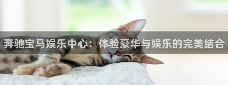 汇富娱乐电子游戏网页版：奔驰宝马娱乐中心：体验豪华与娱乐的完美结合