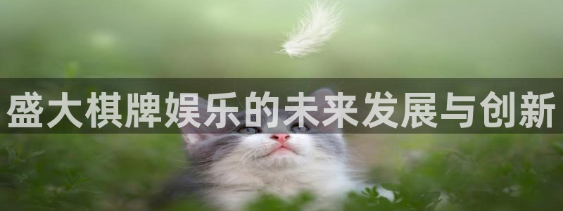 汇富娱乐体育游戏：盛大棋牌娱乐的未来发展与创新