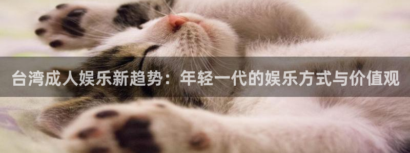 汇富娱乐游戏官网入口：台湾成人娱乐新趋势：年轻一代的娱乐方式与价值观