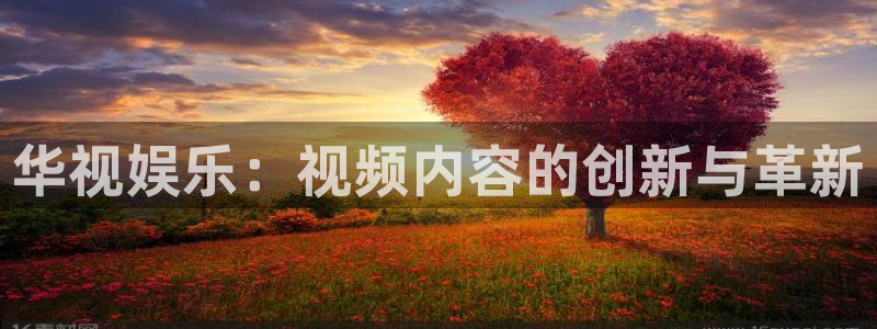 汇富娱乐体育3在线注册：华视娱乐：视频内容的创新与革新
