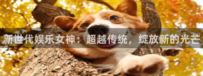 汇富娱乐体育官网：新世代娱乐女神：超越传统，绽放新的光芒