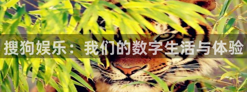 汇富娱乐官网版下载：搜狗娱乐：我们的数字生活与体验