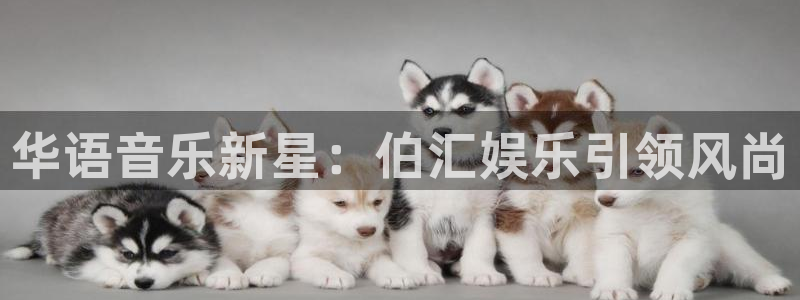 汇富娱乐平台官网入口：华语音乐新星：伯汇娱乐引领风尚