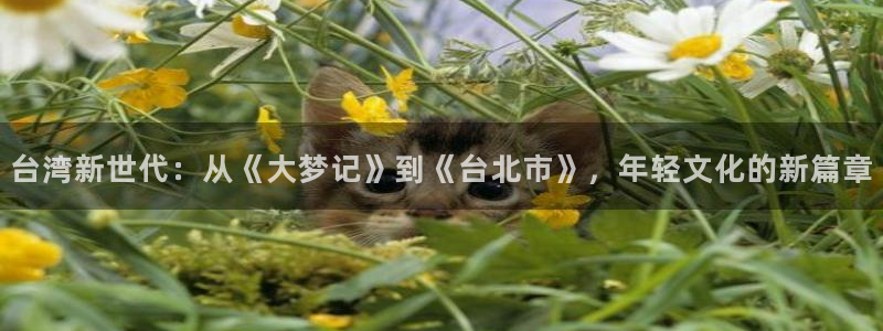 汇富娱乐注册平台：台湾新世代：从《大梦记》到《台北市》，年轻文化的新篇章