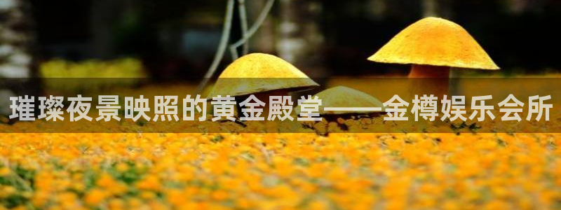 汇富娱乐5：璀璨夜景映照的黄金殿堂——金樽娱乐会所