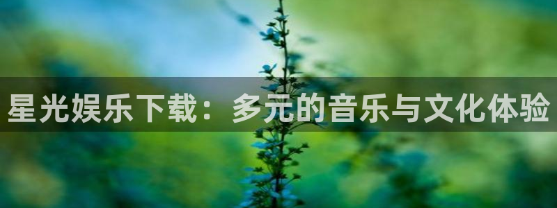 汇富娱乐体育平台登录入口：星光娱乐下载：多元的音乐与文化体验