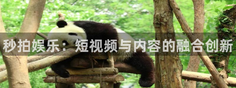 汇富娱乐4平台：秒拍娱乐：短视频与内容的融合创新