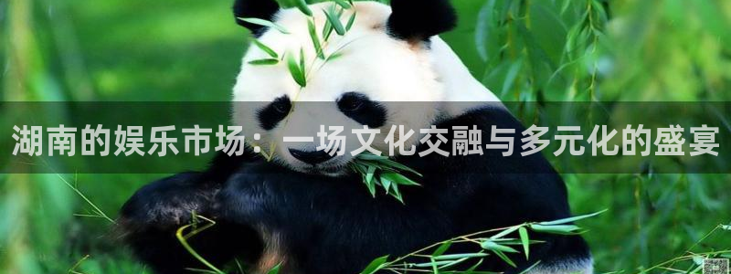 佛山市南海汇富娱乐机电仪器有限公司：湖南的娱乐市场：一场文化交融与多元化的盛宴