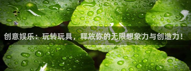 汇富娱乐游戏有哪些好玩的：创意娱乐：玩转玩具，释放你的无限想象力与创造力！