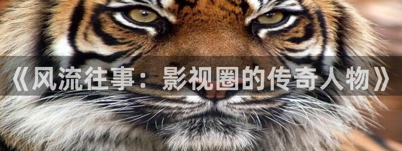 汇富娱乐手机客户端下载安装：《风流往事：影视圈的传奇人物》