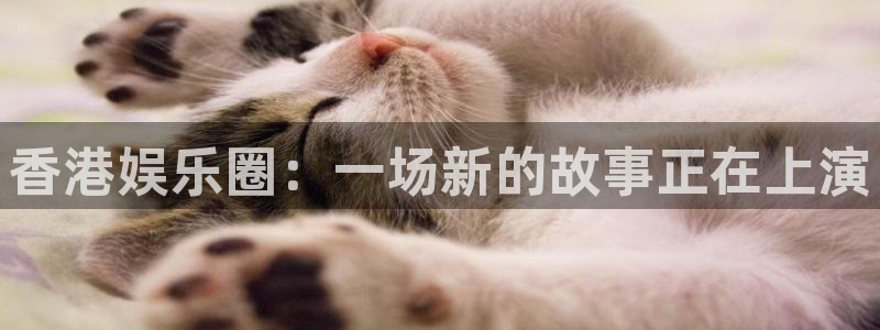pg汇富娱乐平台下载入口：香港娱乐圈：一场新的故事正在上演