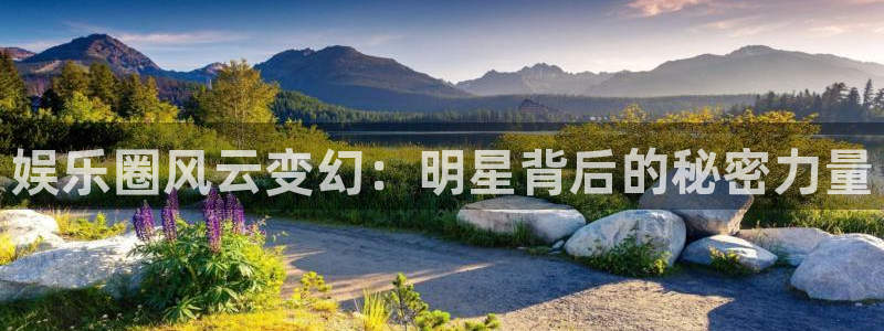 汇富娱乐集团股票：娱乐圈风云变幻：明星背后的秘密力量